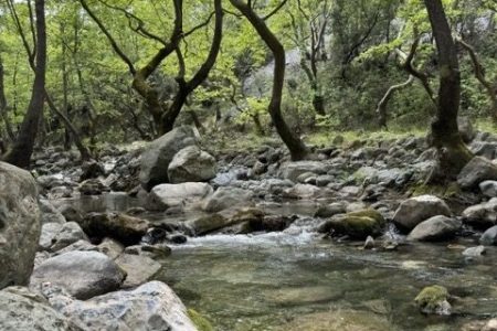 ΦΑΡΑΓΓΙ ΣΤΡΟΠΩΝΩΝ